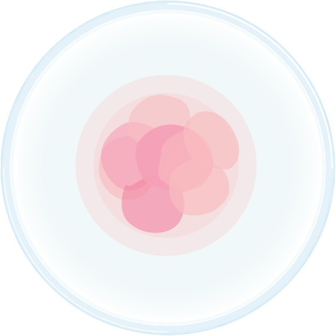 PGD Blastomere