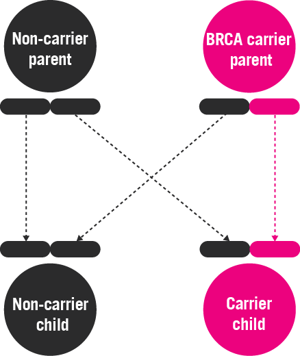 estimated risk of cancer