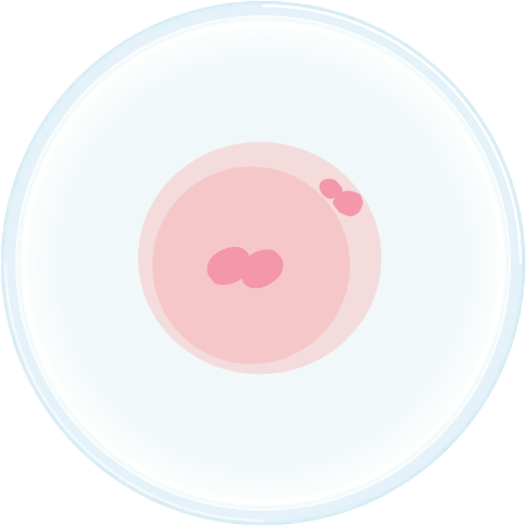 PGD Polar Bodies